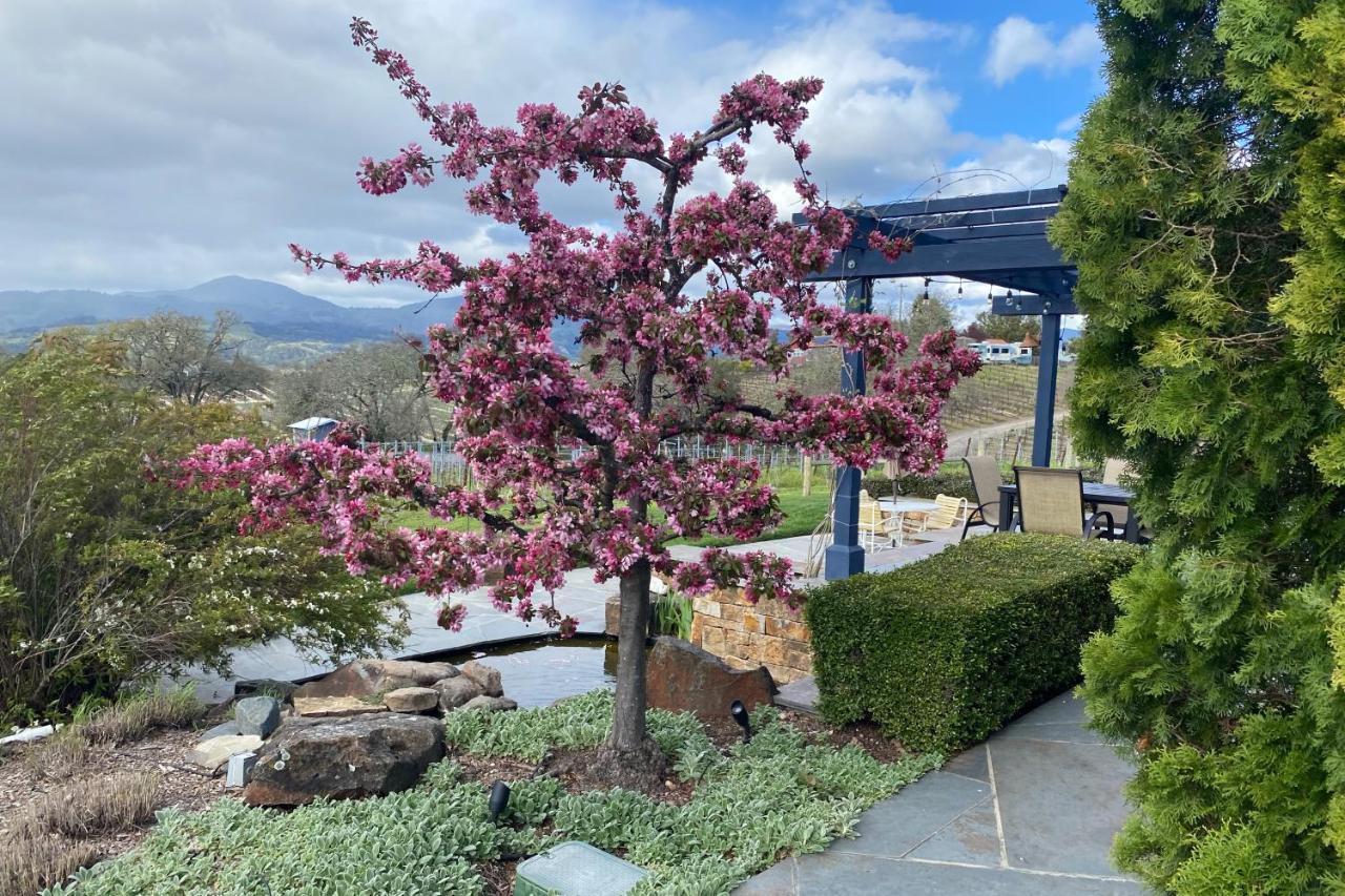 Alexander Valley Retreat Healdsburg Bagian luar foto