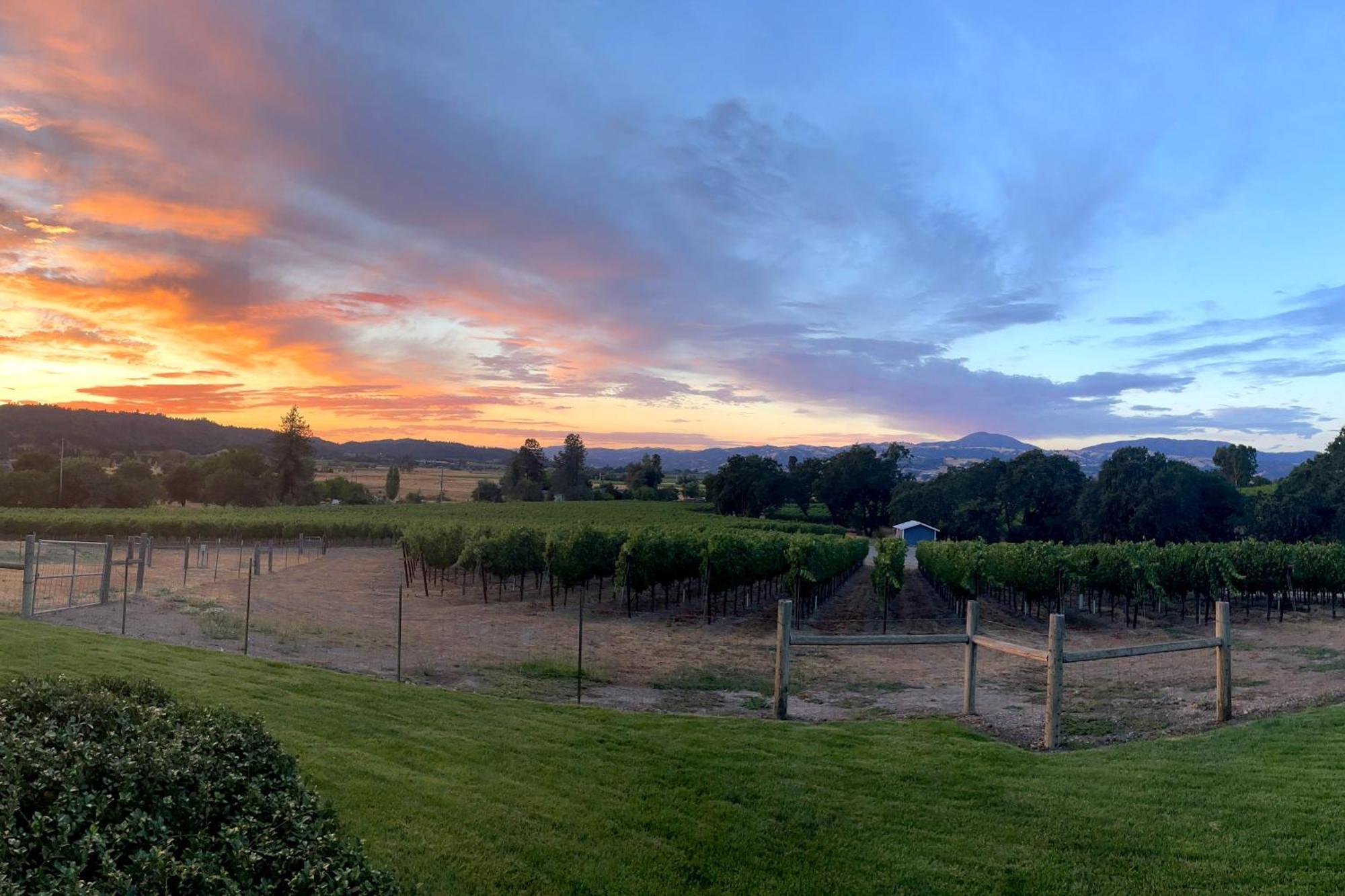Alexander Valley Retreat Healdsburg Bagian luar foto